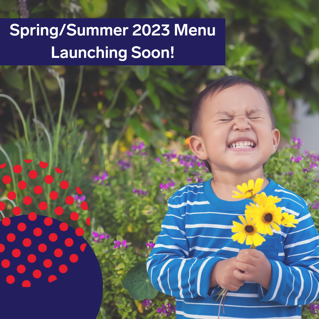 spring-summer-2023-menu-wholesome-kids-catering